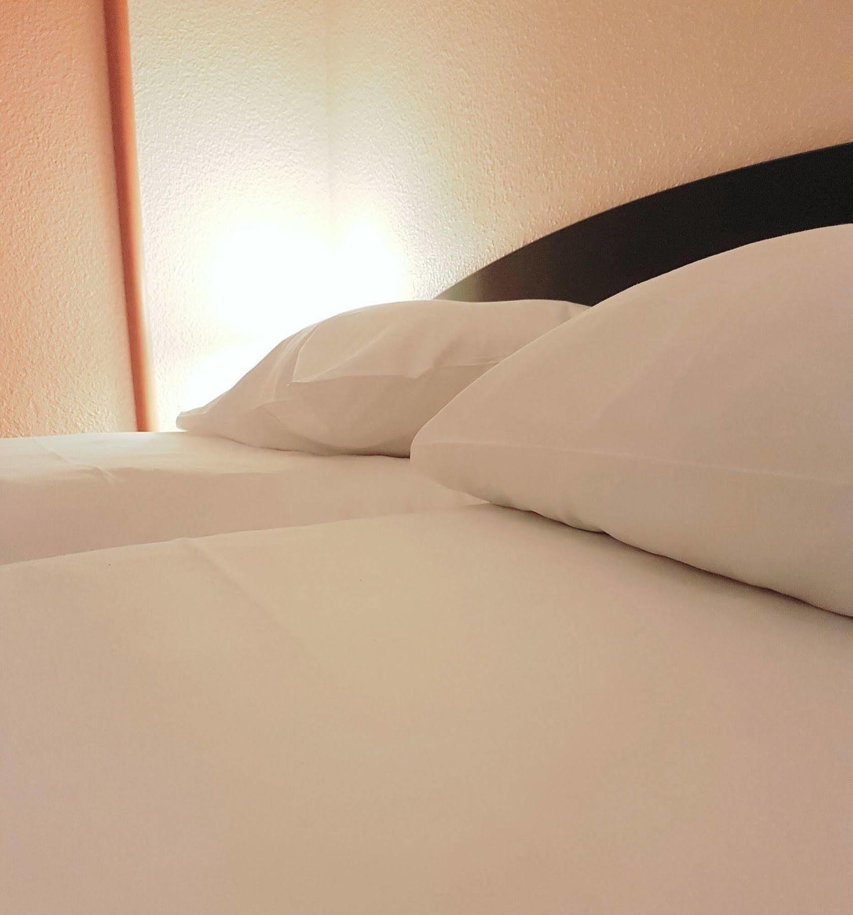 Ibis Archamps Porte De Geneve Dış mekan fotoğraf